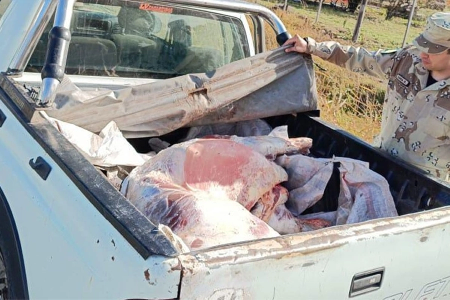 Así llevaba la carne. PER