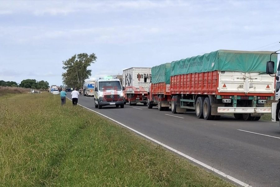Gentileza: Mirada Profunda