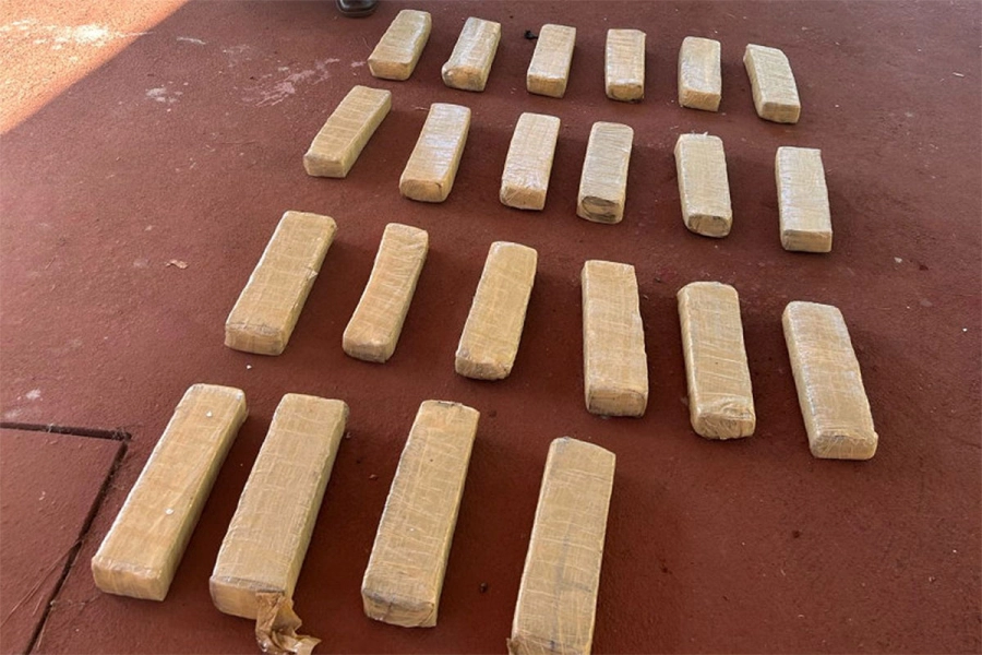 Droga incautada. Gendarmer&iacute;a Nacional