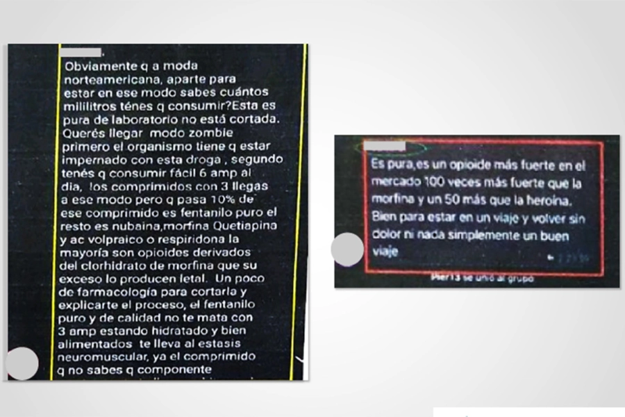 Foto: PROCUNAR