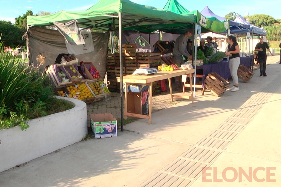 La Feria en tu barrio (foto Elonce)