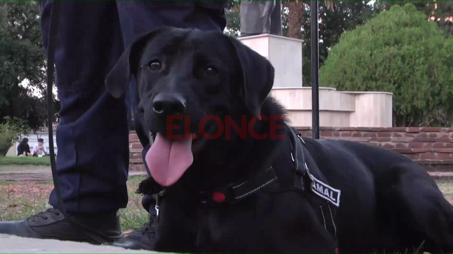 Foto: Elonce