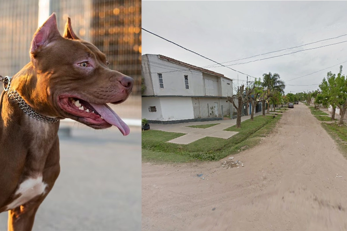 Otro ataque de un pitbull en Santa Fe Otro ataque de un pitbull en Santa Fe