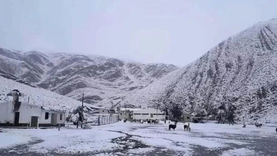 Nev&oacute; en Jujuy antes que en la Patagonia y sorprendi&oacute; al pa&iacute;s (foto Facebook)