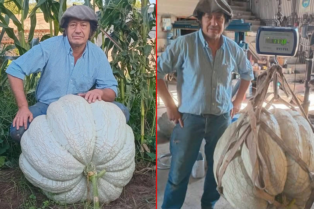 El entrerriano con el zapallo gigante que cosechó El entrerriano con el zapallo gigante que cosechó