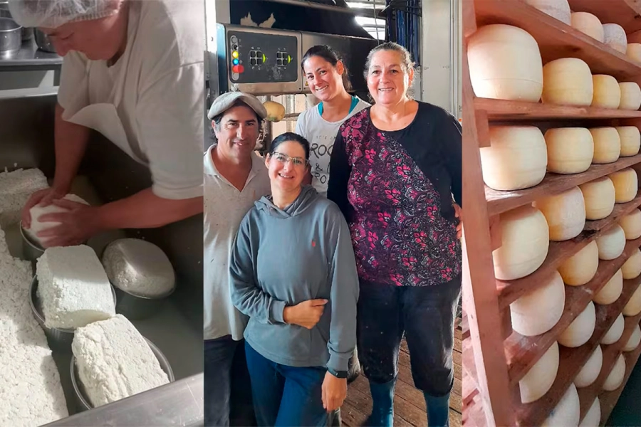 De 6 vacas al tambo robotizado con energ&iacute;a solar en Nogoy&aacute; (foto TN Campo)