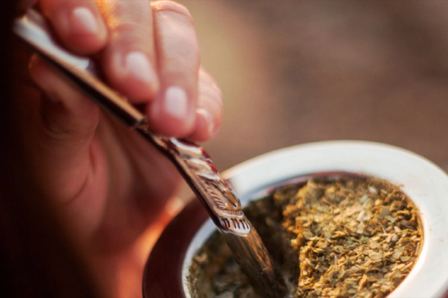 Yerba mate