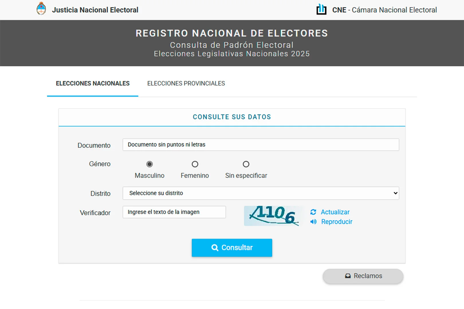 Padrón provisorio para la consulta de datos