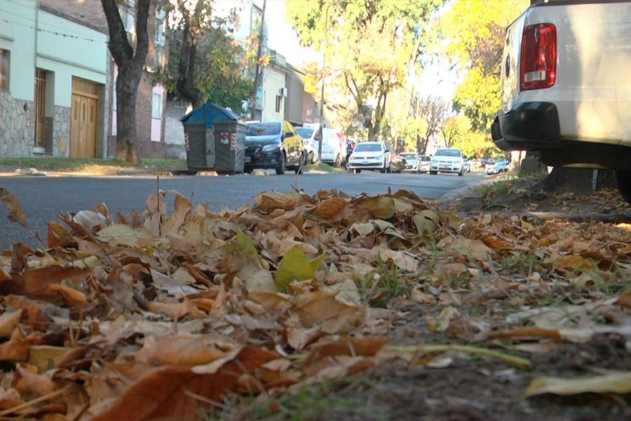 Otoño en Paraná. Elonce
