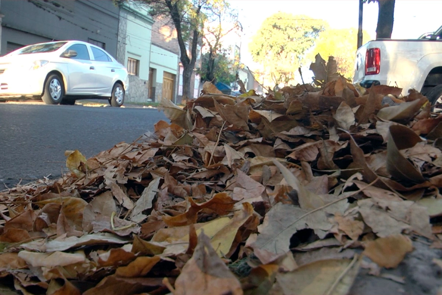 Oto&ntilde;o en Paran&aacute;.