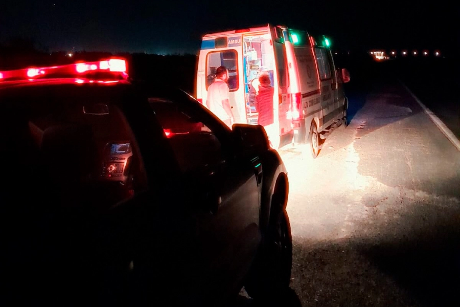 R&aacute;pido rescate por picaduras de avispas en Gualeguay (foto Bomberos Voluntarios de Gualeguay)