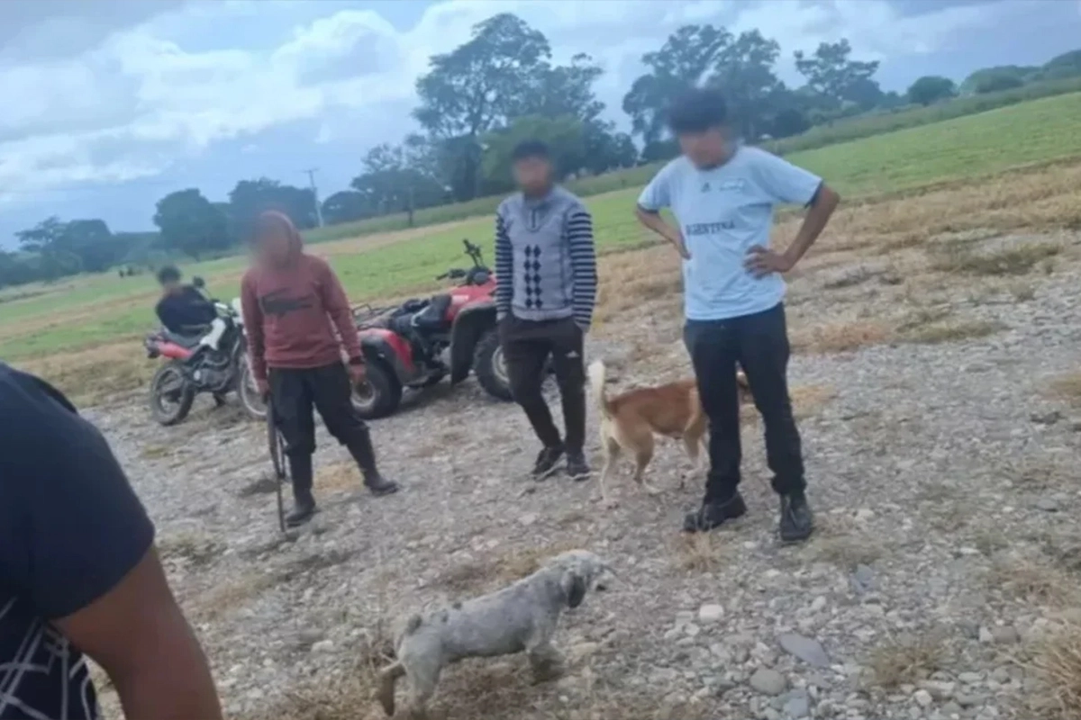 Lo condenaron por matar a una perra. Lo condenaron por matar a una perra.