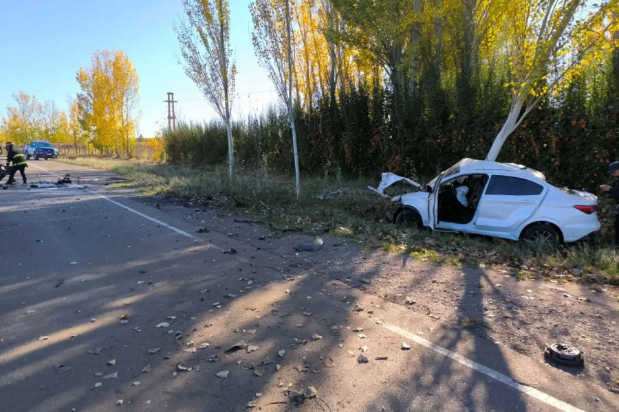 Tragedia en Mendoza. El Sol