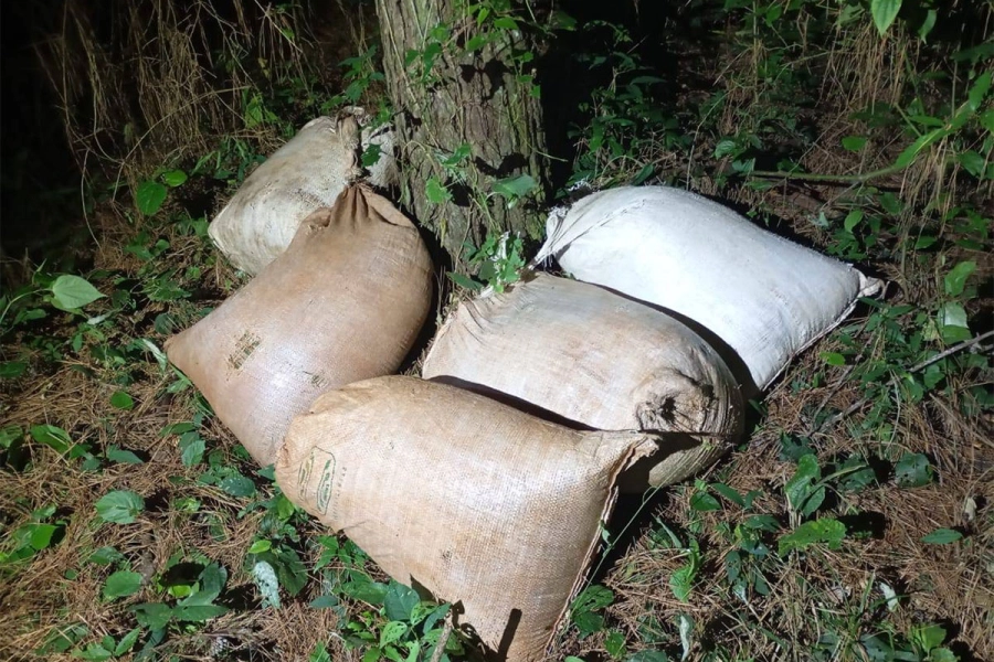 Marihuana incautada en Misiones. Gendarmer&iacute;a Nacional
