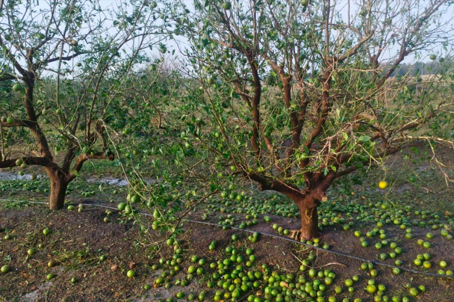 (Foto: Chajarí al Día)