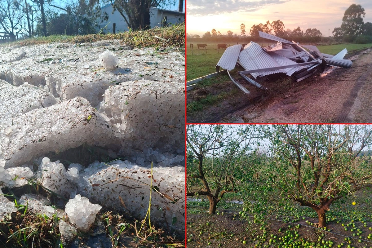 Las consecuencias del temporal en San Pedro. Las consecuencias del temporal en San Pedro.