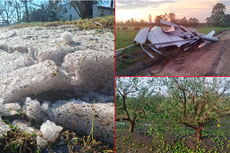 Fotos del día después del temporal en el norte de Entre Ríos: hielo hasta las 10 de la mañana y destrozos