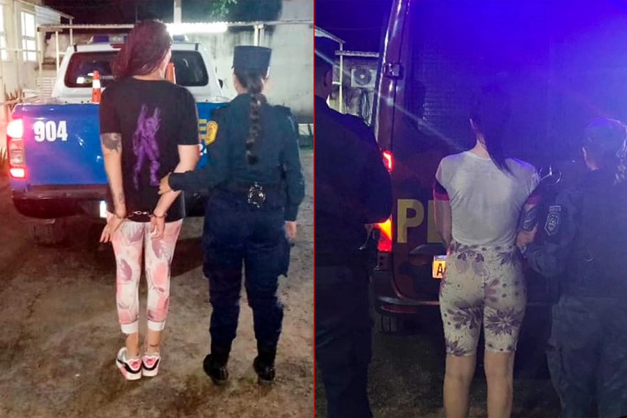 Las detenidas por Tentativa de hurto y Lesiones