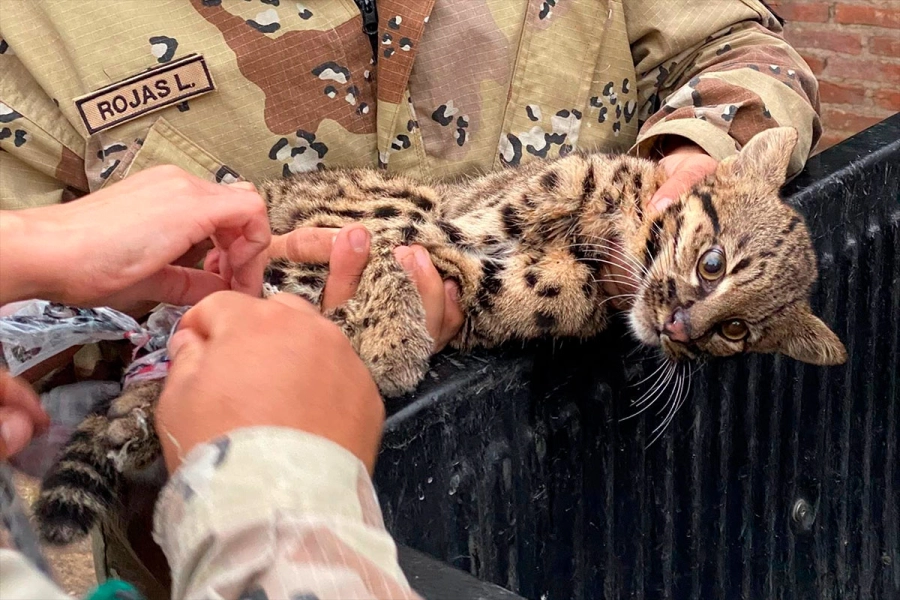 (Foto: La Dptal. Noticias)