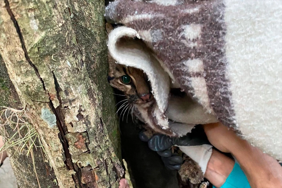 (Foto: La Dptal. Noticias)