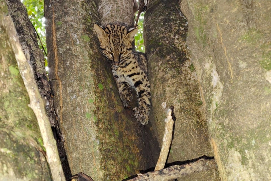 (Foto: La Dptal. Noticias)