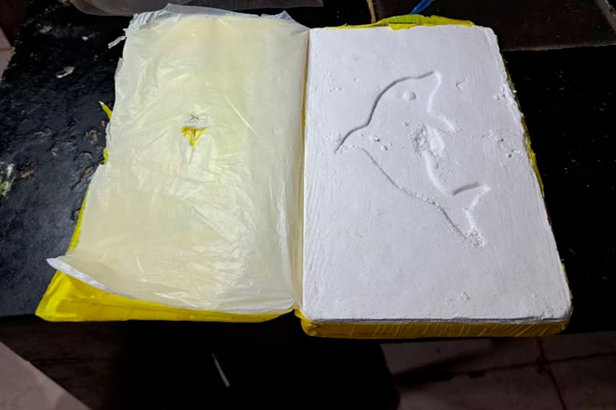 El "sello" del delfín en la cocaína de máxima pureza. El "sello" del delfín en la cocaína de máxima pureza.