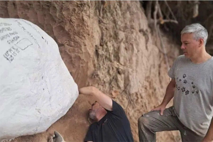 Los paleont&oacute;logos trabajan en el lugar del hallazgo (Diario La Capital)