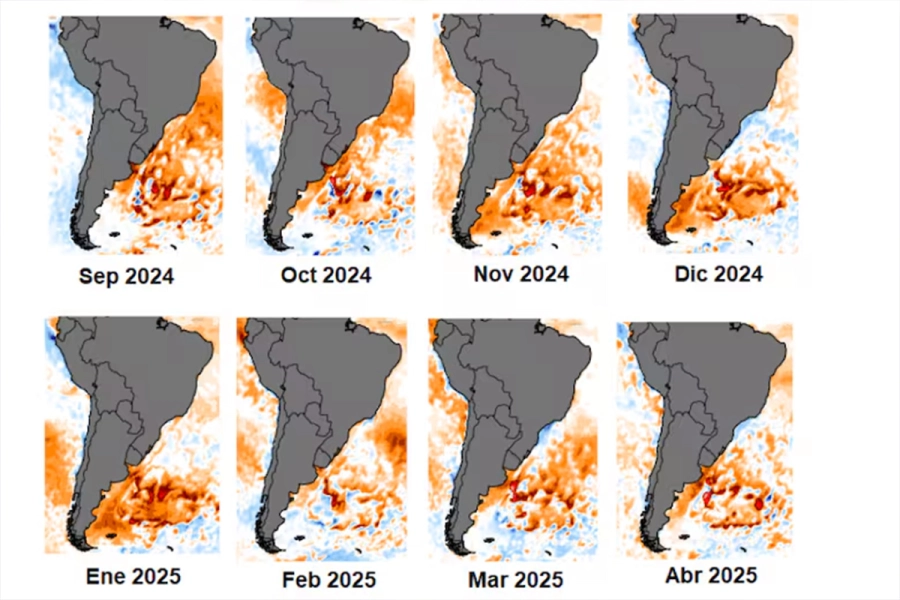 Todos concuerdan en mostrar un calentamiento evidente, o sea una mancha roja en las costas del Río de La Plata y de Sudamérica hasta octubre del 2025.
