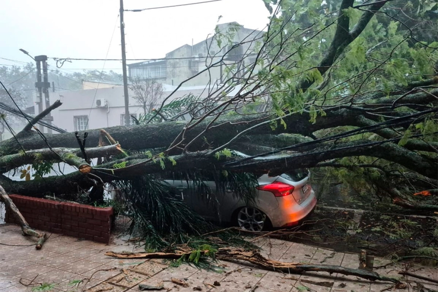 Temporal en Posadas