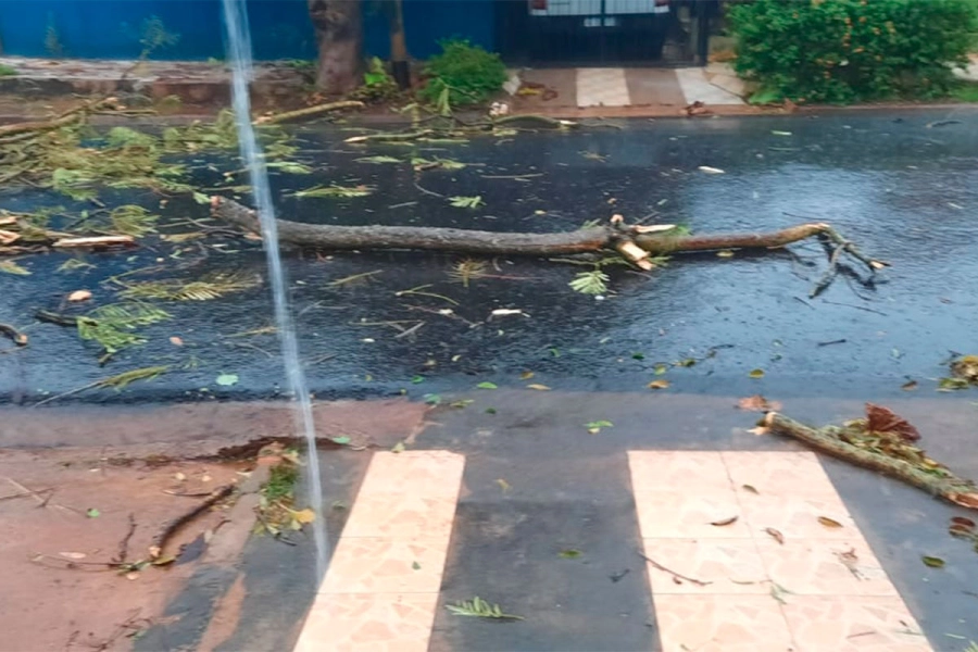 Temporal en Posadas