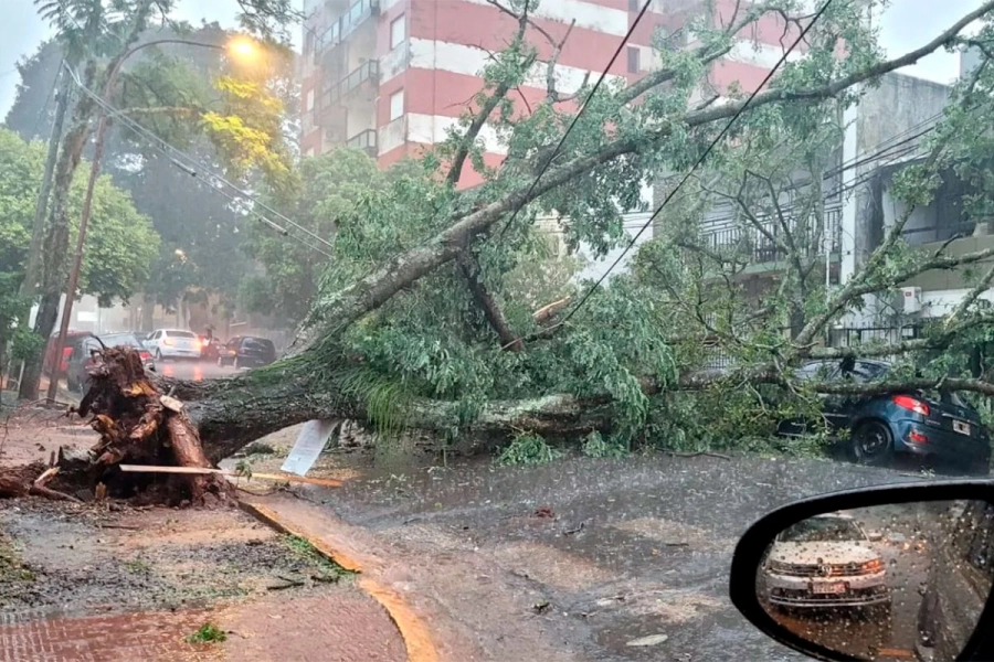 Temporal en Posadas