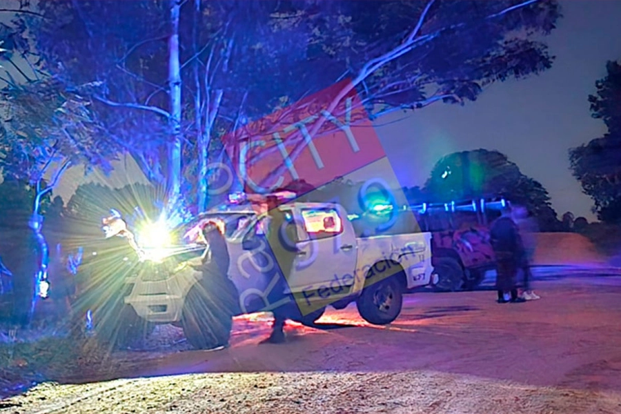 Robo en Federación