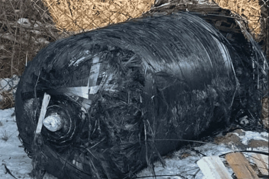 Lo hallado en Polonia