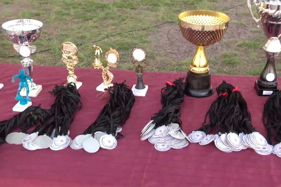 D&iacute;a de la Enfermer&iacute;a