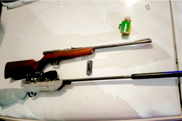 Incautaron 554 armas de fuego en lo que va del año