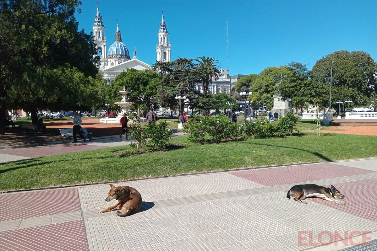 Hoy seguirá el tiempo bueno y subirá la temperatura. Hoy seguirá el tiempo bueno y subirá la temperatura.