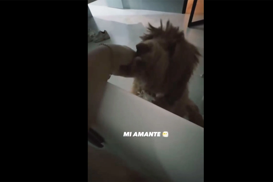 El mensaje ir&oacute;nico de Laurita Fern&aacute;ndez sobre su supuesta infidelidad. Instagram