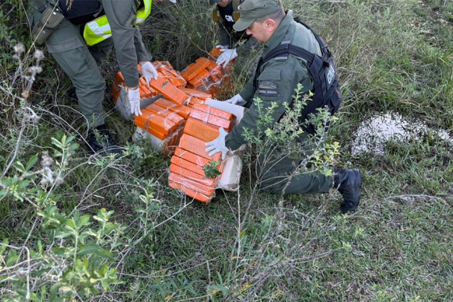 Hallaron 125 kilos de marihuana abandonados en una zona montuosa. Gendarmer&iacute;a Nacional
