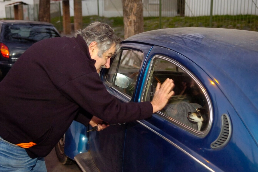 El expresidente Mujica y su perra Manuela, separados por la ventanilla del viejo Volkswagen Fusca. (El Pa&iacute;s)