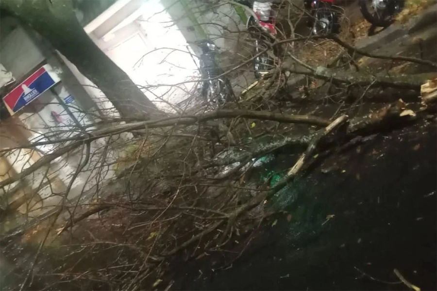 Ramas caídas en Paraná. Reporte 100.7