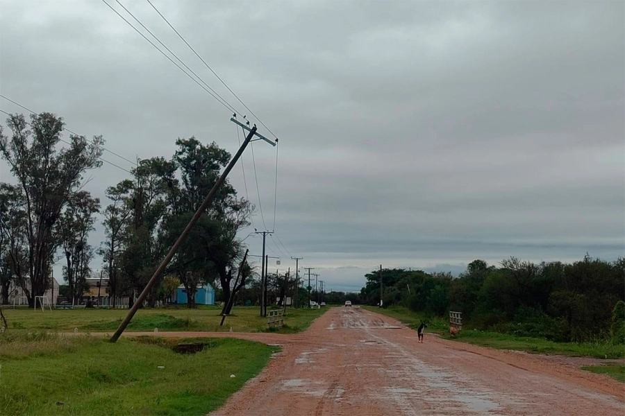 Fuertes vientos causaron daños y ca&iacute;da de eucalipto en Federal (foto Desde Federal)