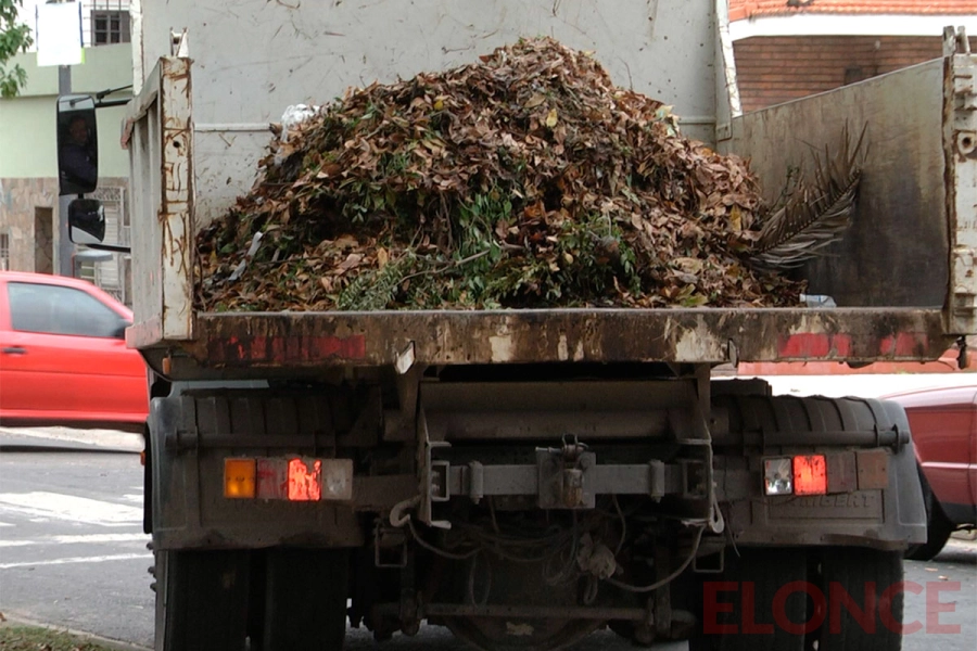 Reforzaron limpieza y poda en Paran&aacute;