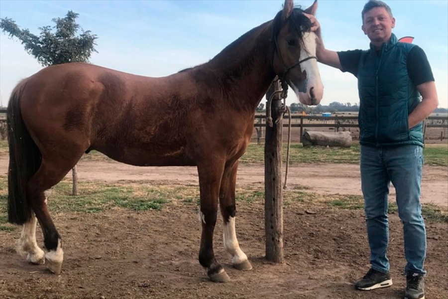 Tambi&eacute;n cr&iacute;a caballos criollos.