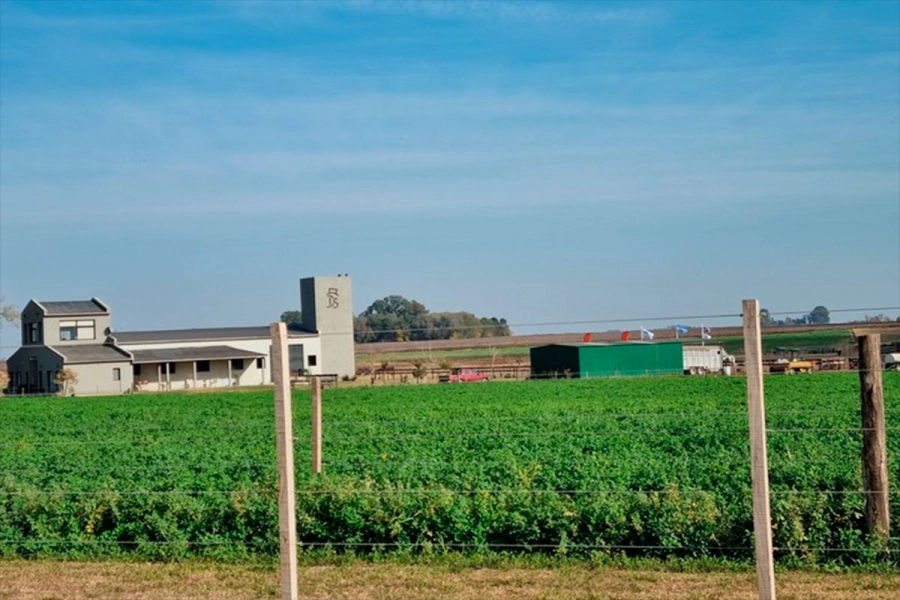 El campo principal de Ortelli, donde tiene su casa.