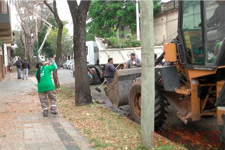 Reforzaron limpieza en Paraná tras la caída de ramas y árboles | Elonce.com