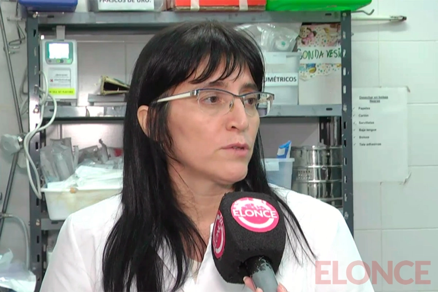 Carina Taxer, jefa de la Guardia Central de Pediatr&iacute;a