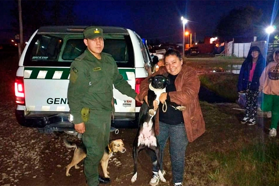 Perra se reencontr&oacute; con su due&ntilde;a tras inundaciones. Gendarmer&iacute;a Nacional