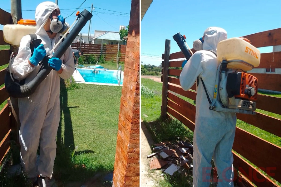 Fumigaciones
