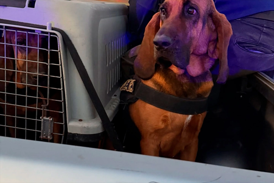 Bomberos Voluntarios de San José.