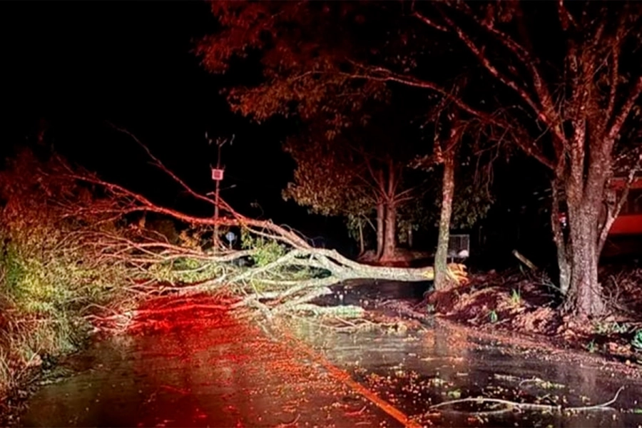 Árboles caídos por tormenta en Brasil. Misiones on line